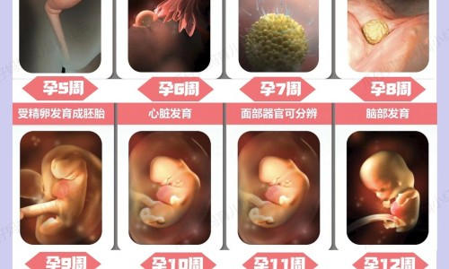 孕期怎么调节情绪动不动就哭-怀胎期间怎么控制情绪网-分享孕妇怎么控制情绪不生气，孕妇怎么控制情绪不生气知识库